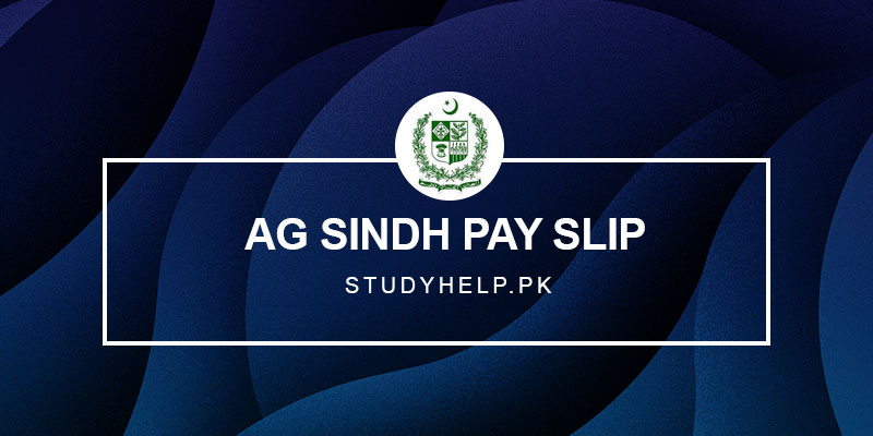 AG-Sindh-Pay-Slip