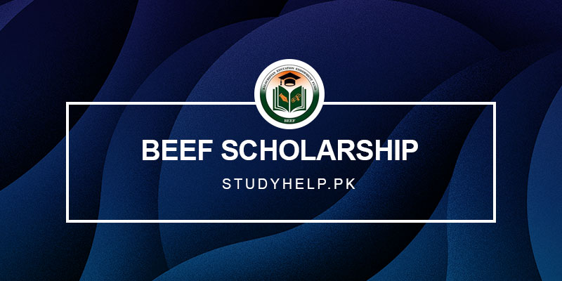 BEEF-Scholarship